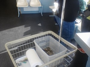 laundromat