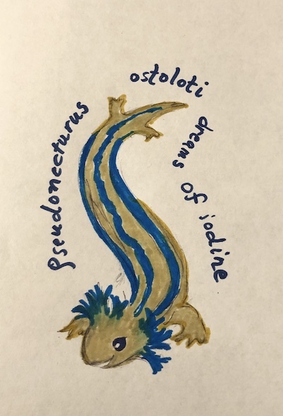 fan art for Gwen Katz's story "The Curious Case of the Cave Salamander"