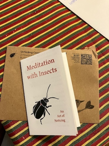 cover of "Meditation with Insects: An Art of Noticing